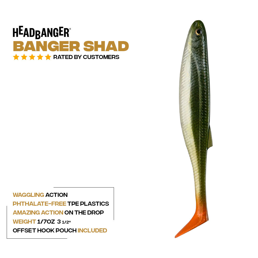 Headbanger BangerShad 3-1/2" 5-pack