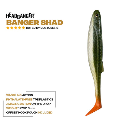 Headbanger BangerShad 3-1/2" 5-pack