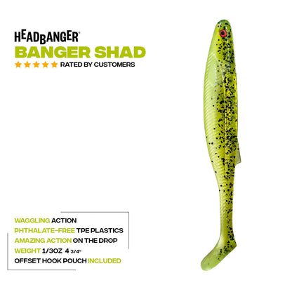 Headbanger BangerShad 4-3/4" 5-pack