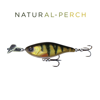 Headbanger Cranky Shad 5"