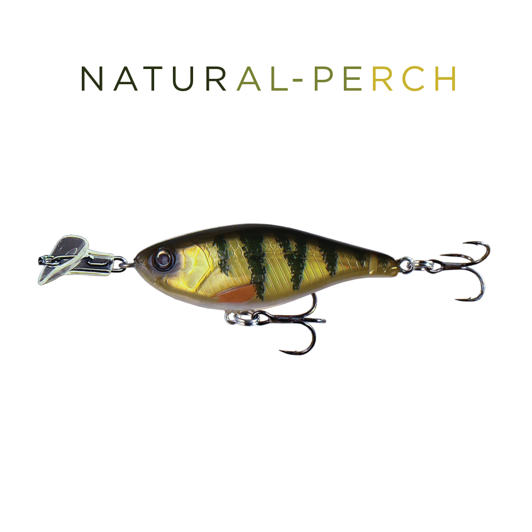 Headbanger Cranky Shad 2-1/2