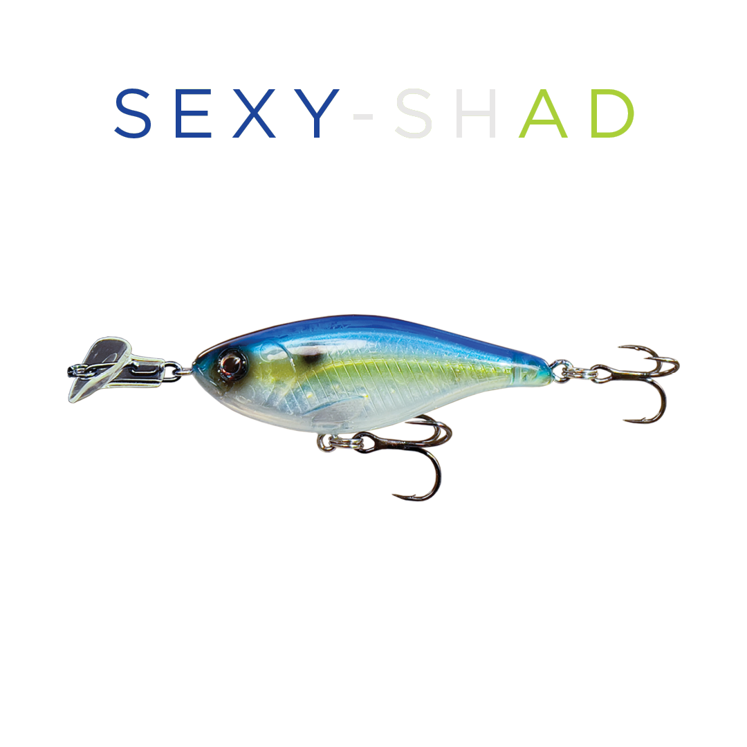 Headbanger Cranky Shad 4"