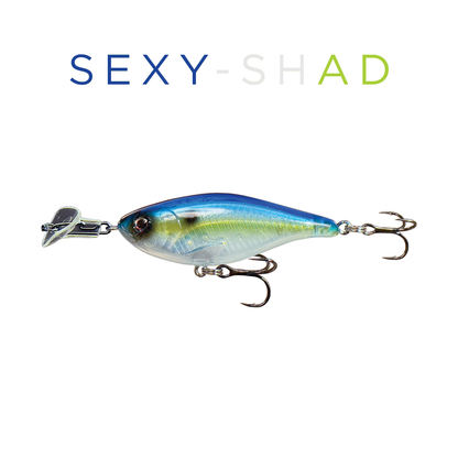 Headbanger Cranky Shad 2-1/2