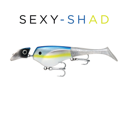 Headbanger Shad 6"
