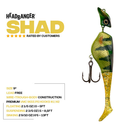 Headbanger Shad 9"